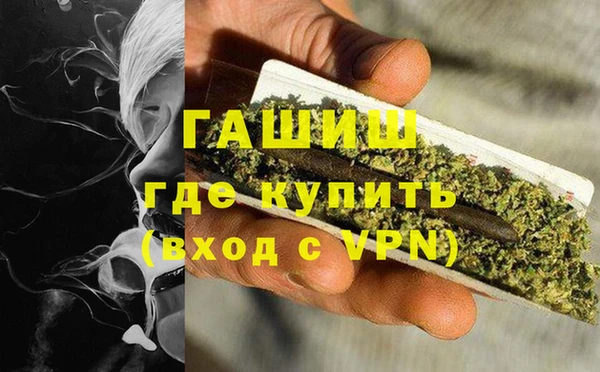 стаф Арсеньев