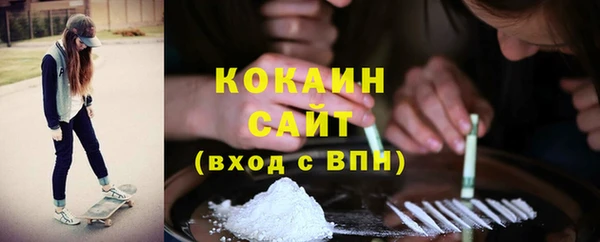 стаф Арсеньев