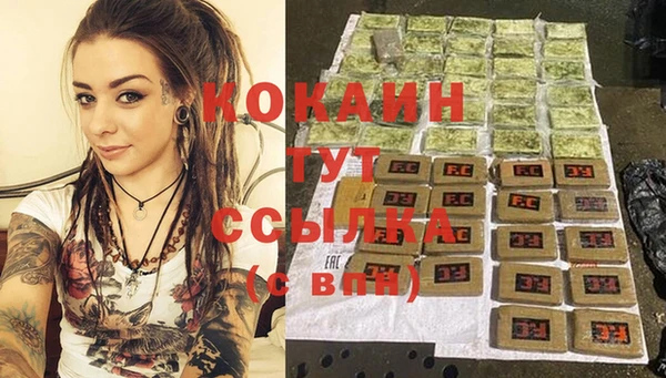 стаф Арсеньев