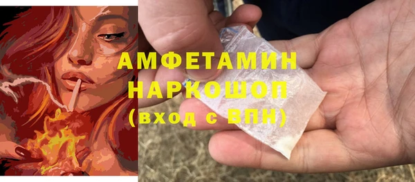 стаф Арсеньев