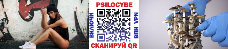 Псилоцибиновые грибы Magic Shrooms  Тимашёвск 